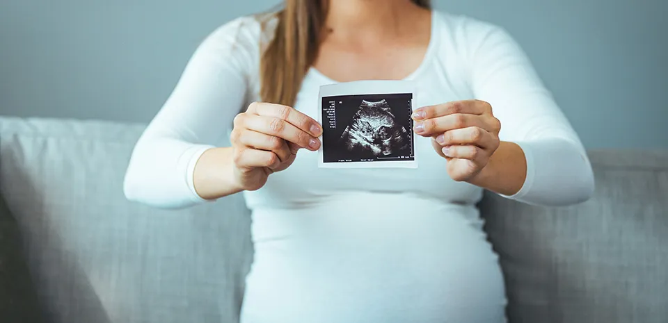 parenthood journey