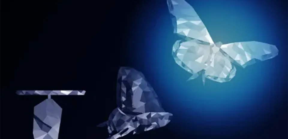 butterfly transformation