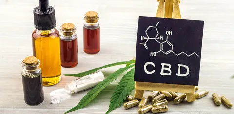 cbd ingredients