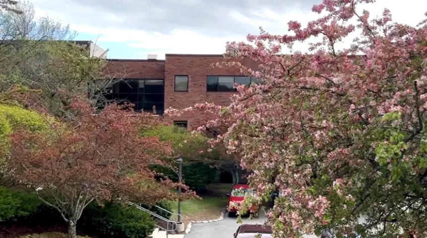 A pink flowering tree is in front of a red brick building.